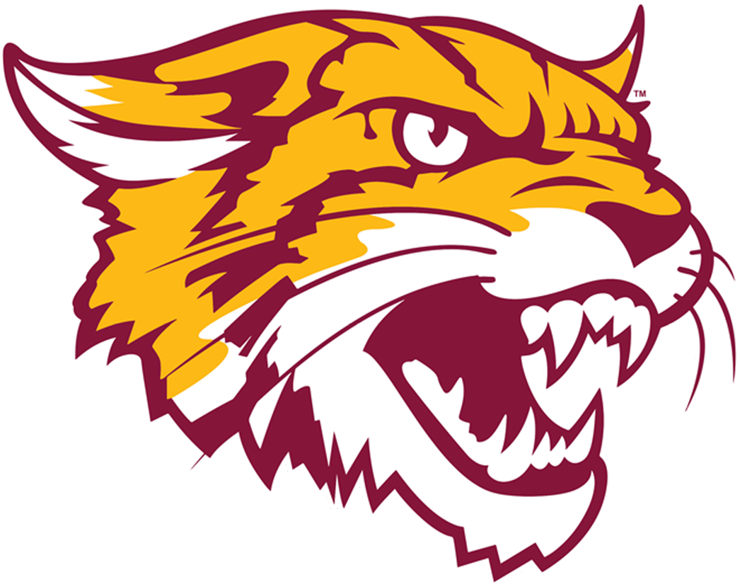 Bethune-Cookman Wildcats 2016-Pres Alternate Logo iron on transfers for clothing
